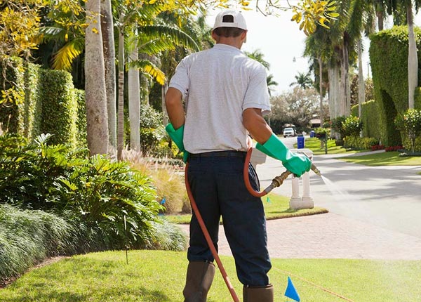 About Boerne TX Pest Control Pros